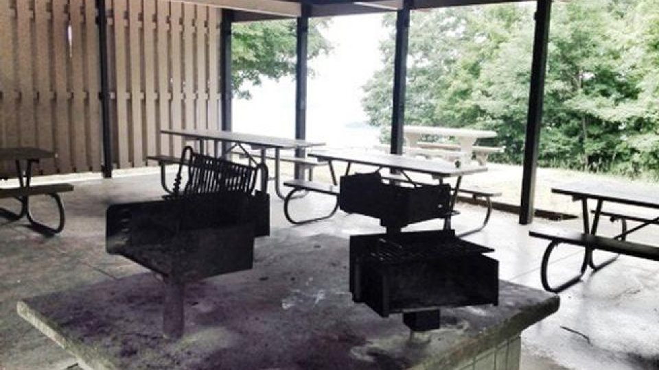 Pavilion with picnic tables, grills, and forest view.