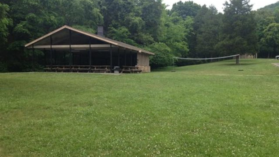 Sheltered picnic area with benches, surrounded by lush green trees and grass.