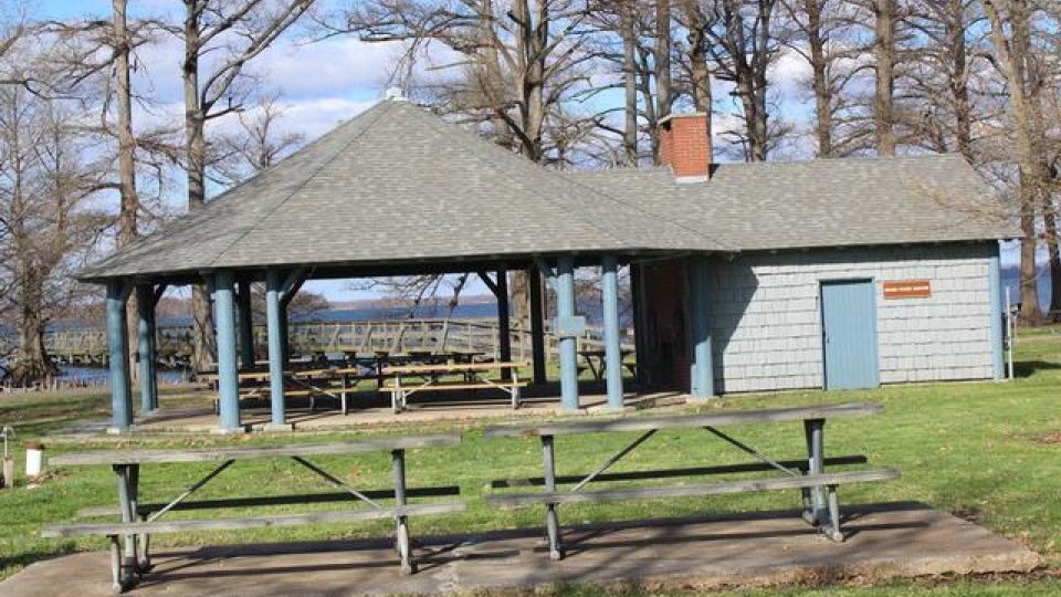 Shelter with picnic tables in a park, surrounded by leafless trees.
