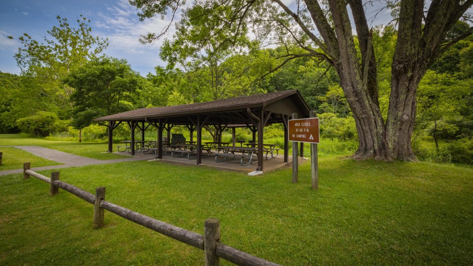 Picnic shelter with tables in a grassy park, surrounded by trees.