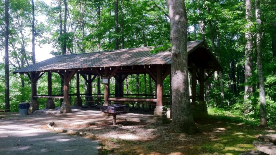 Wooden picnic shelter surrounded by green trees in a forest setting.