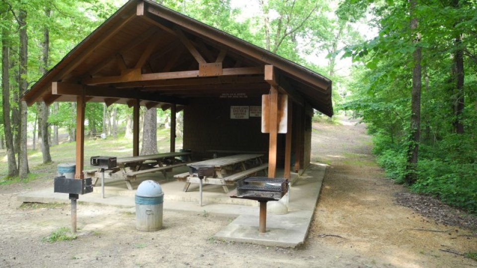 Wooden picnic shelter with tables and grills in a wooded area.
