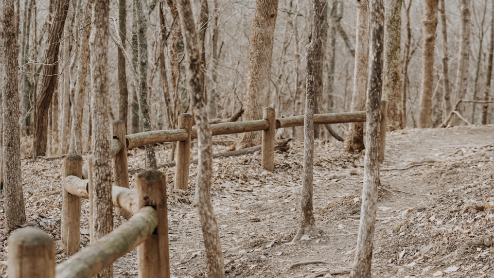 trail