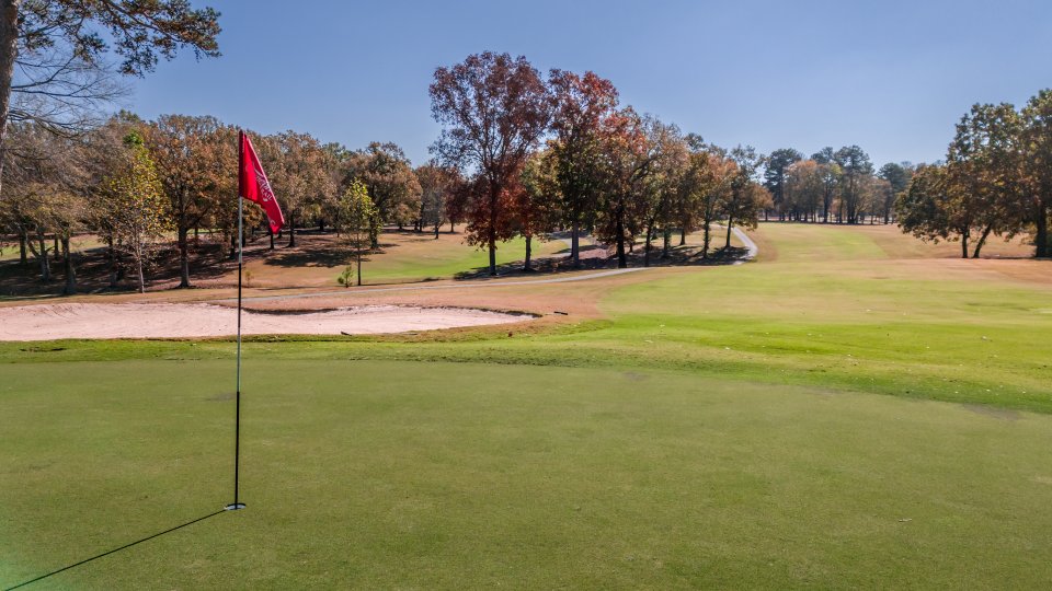 Golf course green with red flag, trees in the background.