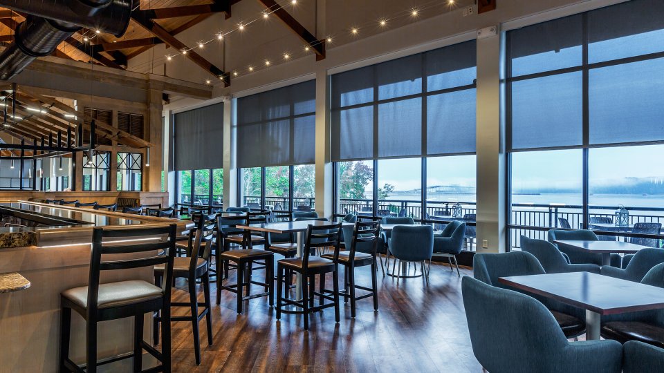 Modern cafe with wooden floors, blue chairs, large windows, and outdoor view.