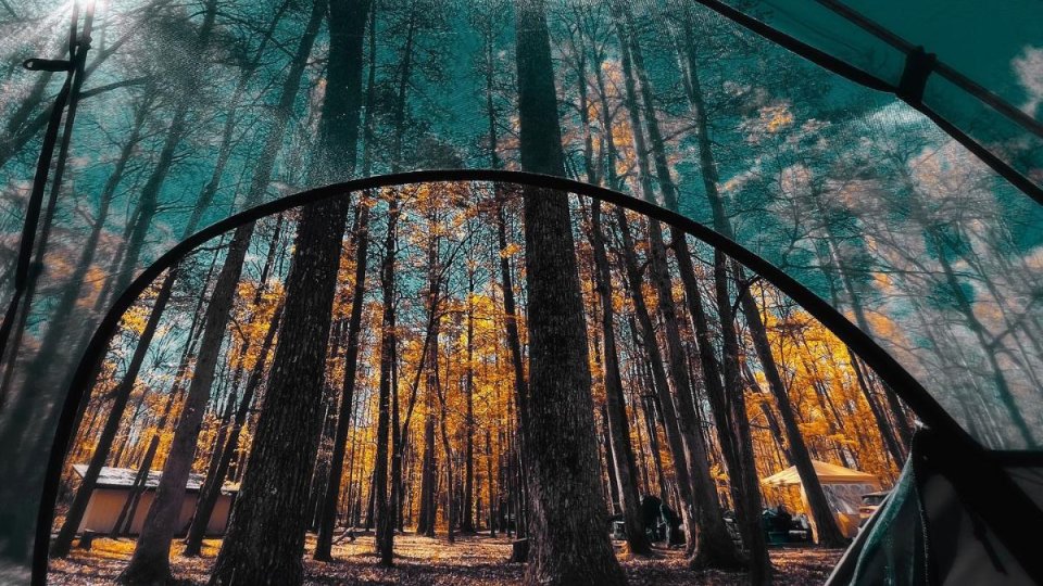 credit_@shawnlc_on_instagram_-_south_cumberland_state_park.jpg