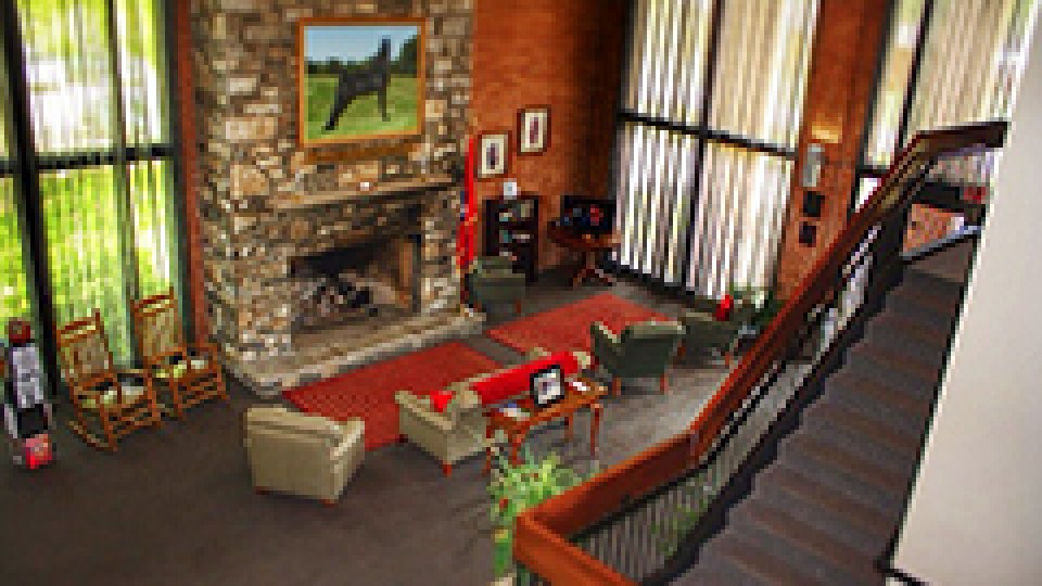 Living room with stone fireplace, large windows, and green armchairs near a staircase.