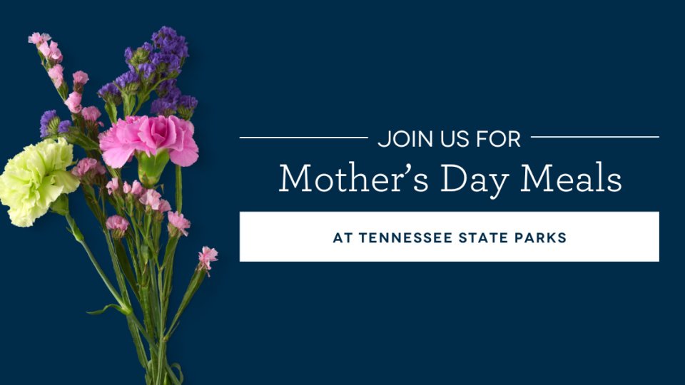 mother_s-day-meals-blog-header