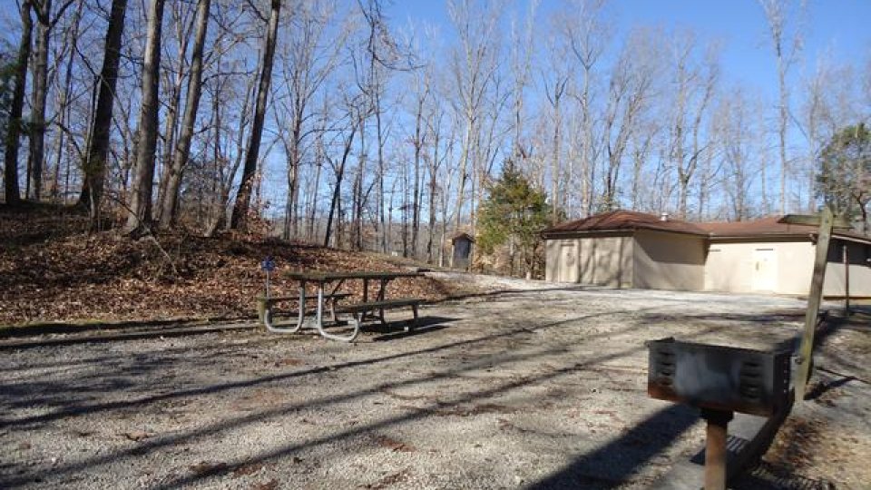 A paved surface campsite features a grill and picnic table. Tall trees line both sides and cast long shadows on the campsite under a bright blue sky. 