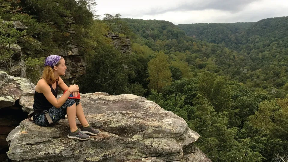 A person sits on a rocky overlook, gazing out over a vast forested valley beneath a cloudy sky.