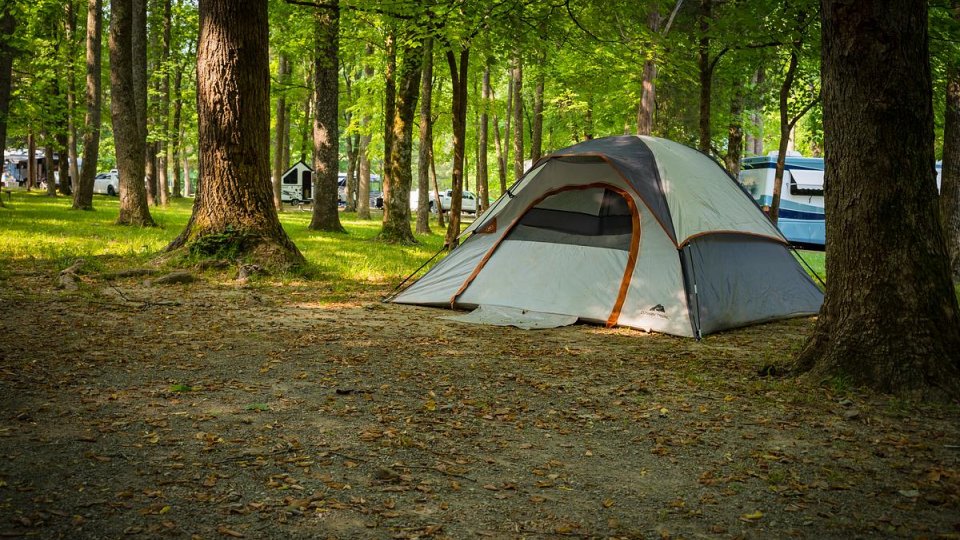 Tent in a wooded campsite with scattered sunlight.