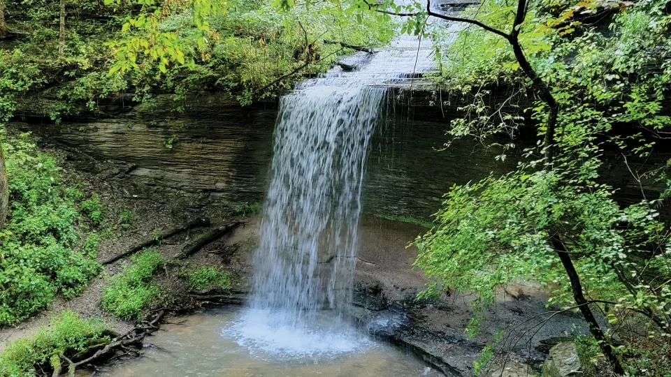 A small waterfall cascades over a rocky ledge into a shallow pool, surrounded by lush green forest and overhanging tree branches.