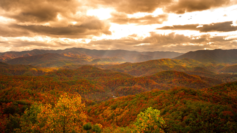 Autumn mountain landscape with rolling hills covered in vibrant fall foliage under a dramatic, cloud-filled sky.