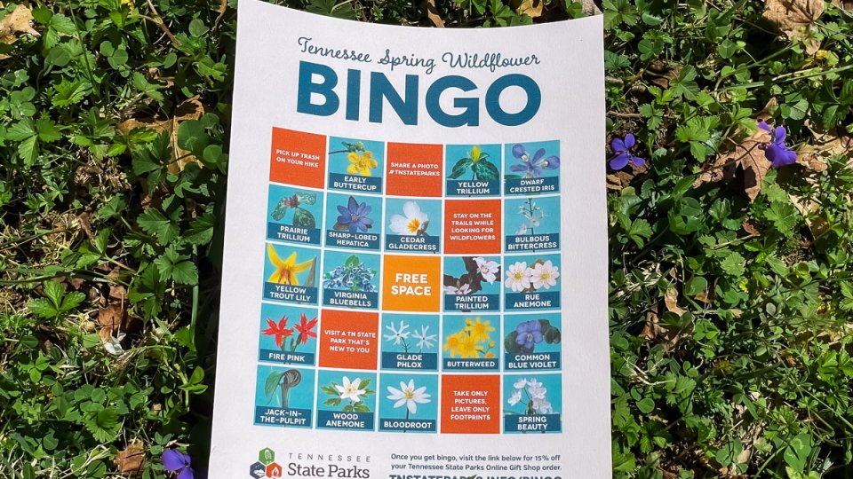 bingo