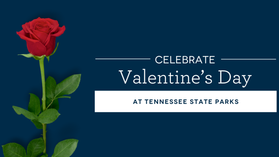 Valentine's Day
