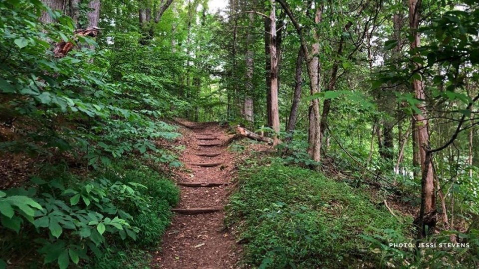 warriors_path_state_park_trail_by_jessi_stevens.jpg