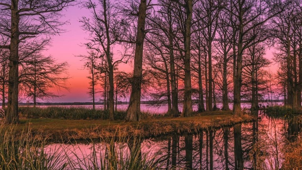 reelfoot_sunrise.jpeg