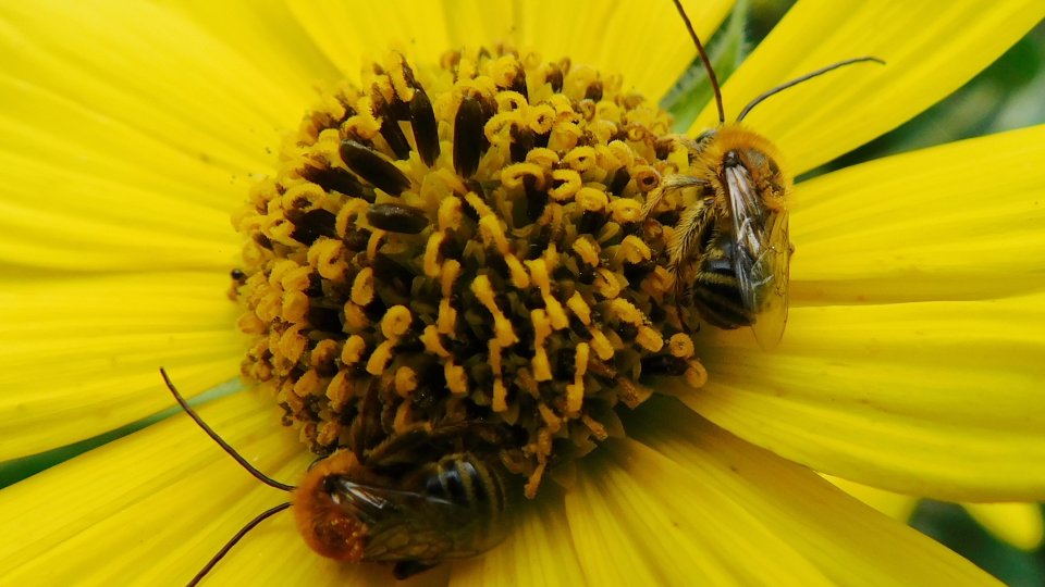 dscn6230.jpg