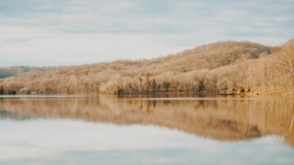 radnor_lake.jpg