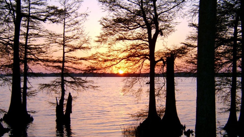 reelfoot_lake.jpg