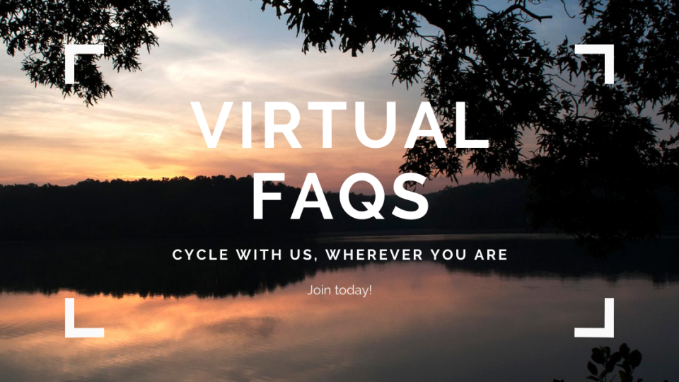 virtual_faqs.png