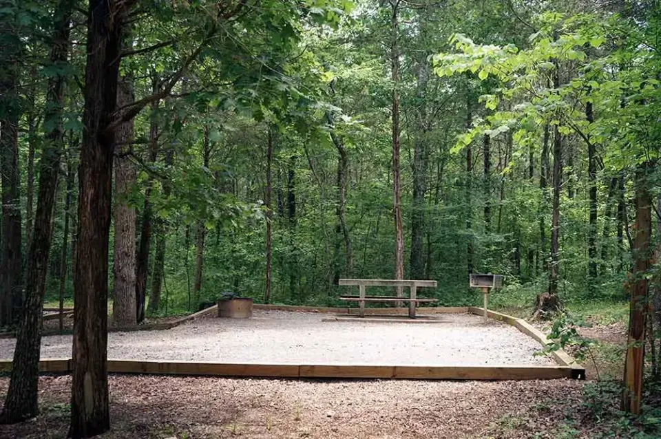 Picnic shelter with multiple tables arranged underneath.