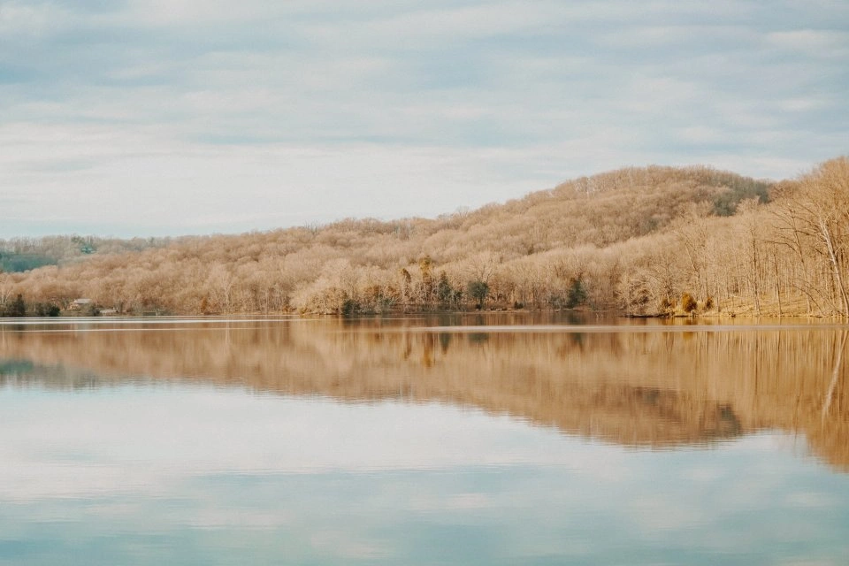 Calm lake reflecting a forest and cloudy sky.
