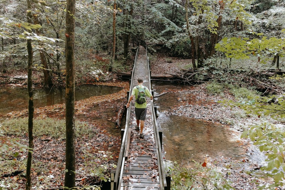A person with a green backpack walks across a narrow wooden bridge in a lush forest. The bridge spans a shallow, leaf-covered stream. Verdant trees surround the scene, creating a peaceful, adventurous atmosphere.