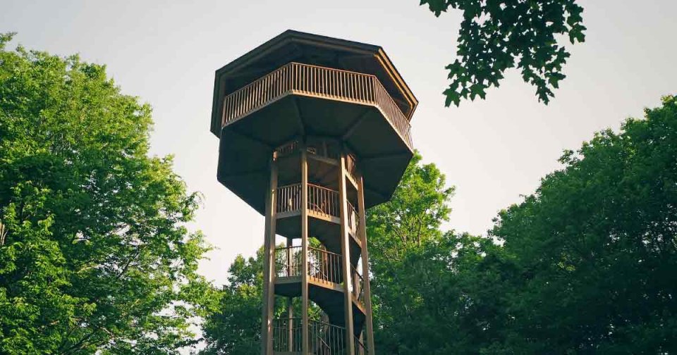 Wooden watchtower surrounded by lush green trees under a clear sky.