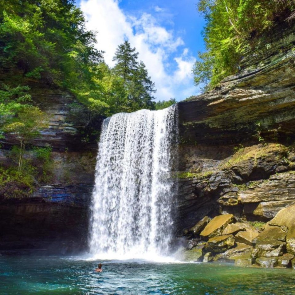 Lush waterfall cascading into a serene pool with a single swimmer.