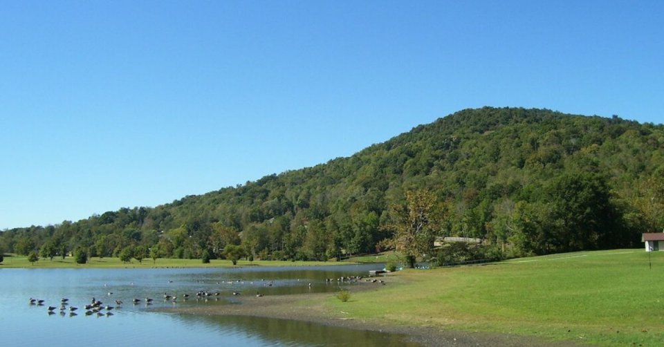 Sunny lakeside view with geese, green hills, and clear sky.