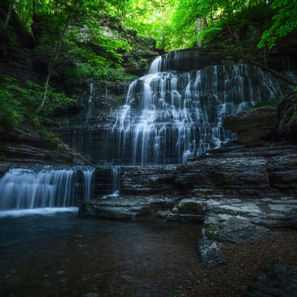 Cascading waterfall in a lush, shadowy forest setting.