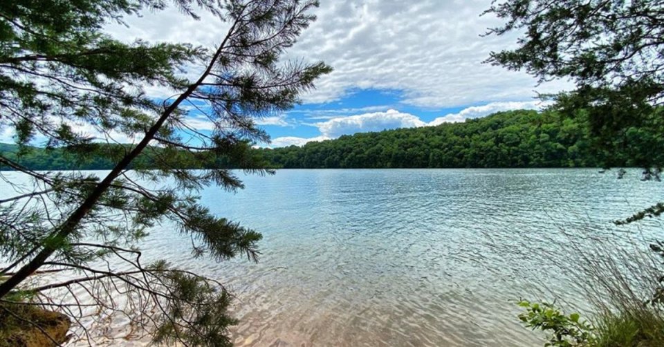 Serene lake view framed by pine branches under a blue sky.