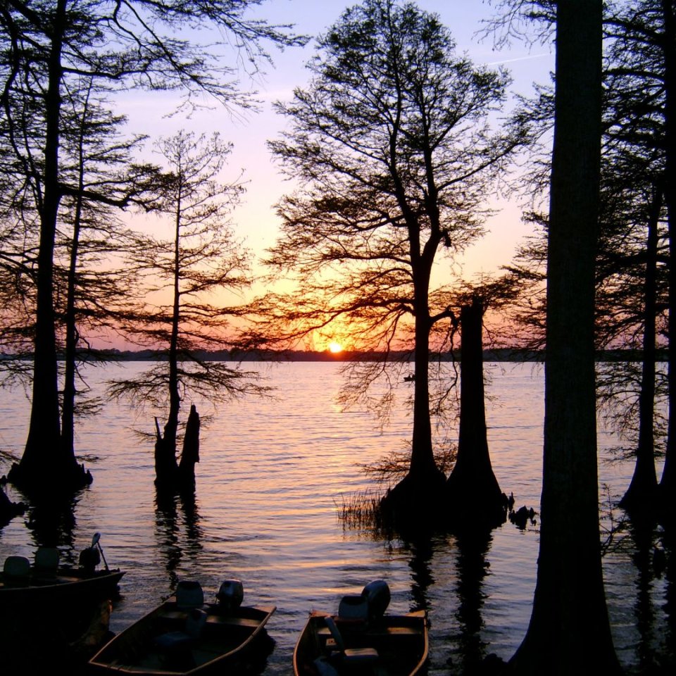 Sunset over a lake viewed between silhouetted trees.