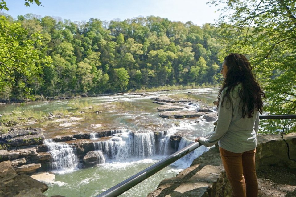 Woman observing a waterfall from a forested overlook.