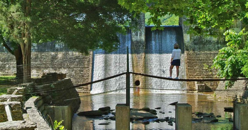 Person standing at a fence viewing a waterfall and lush trees.