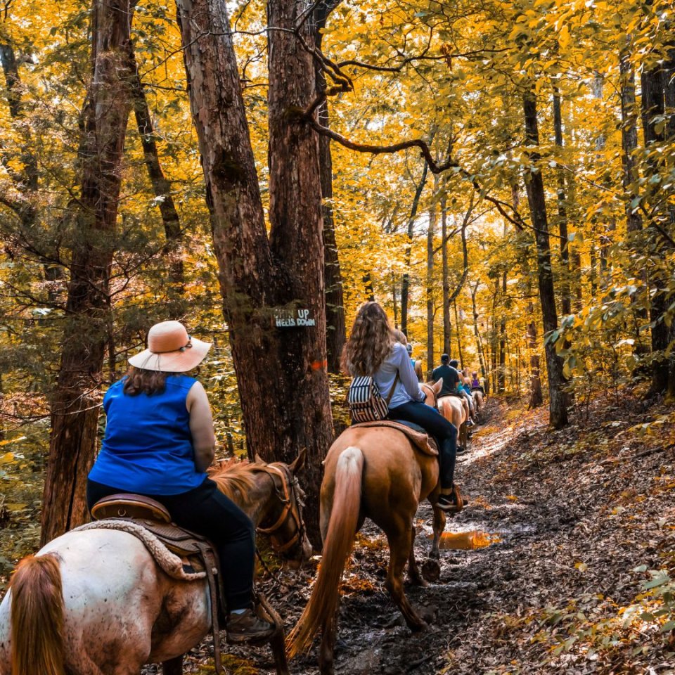horseback riding