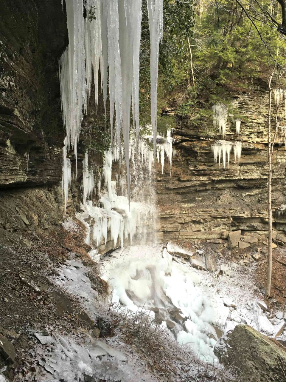 Icicles hanging from rock ledge with frozen pool below.