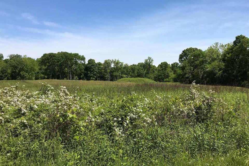 Sellars Farm State Archaeological Area