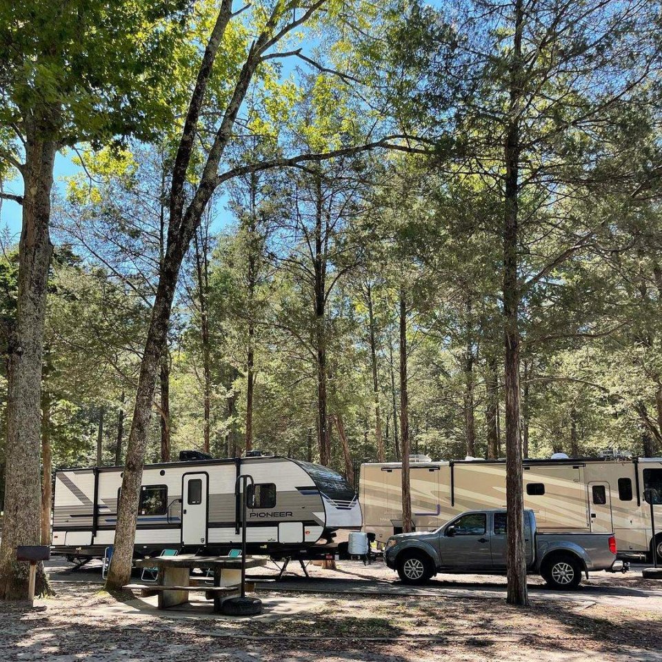 RV parked at a campsite surrounded by trees