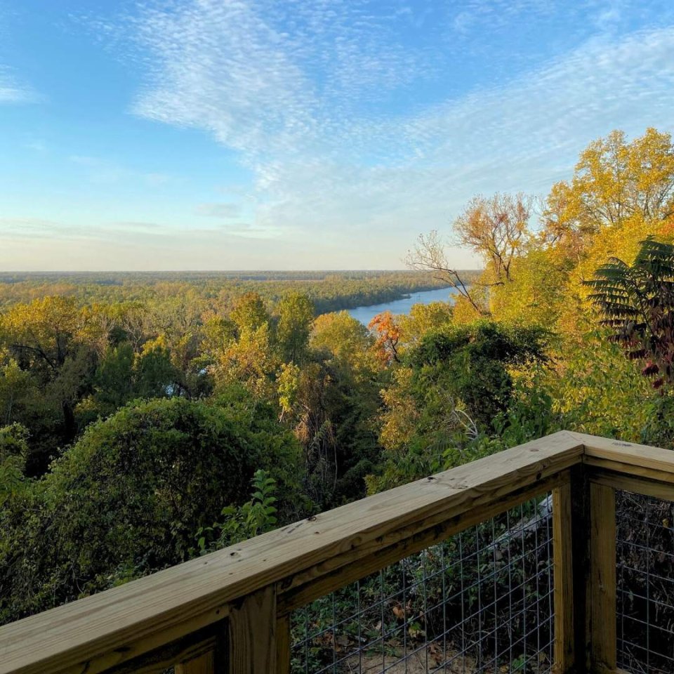 on top of a viewing platform showing scenery of green trees and a river in the distance