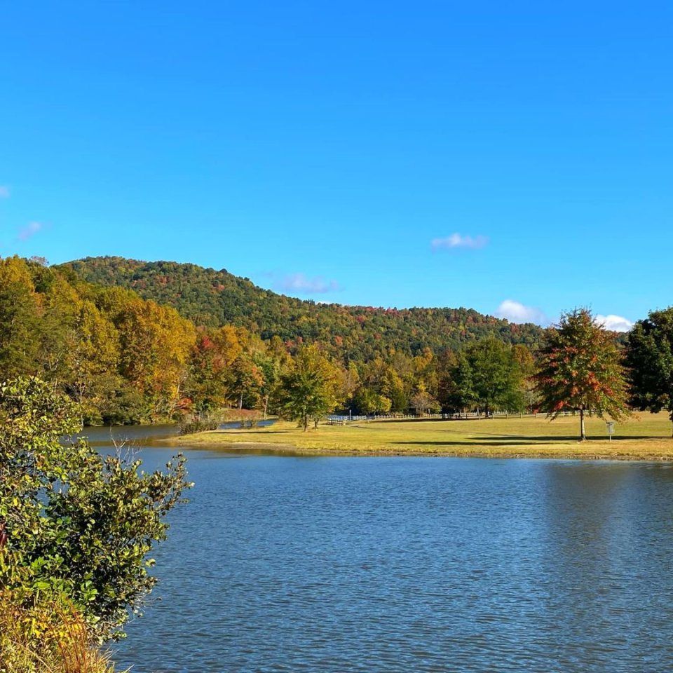 view of water flowing down a river with body of land in the middle and a hill covered in trees in the distance