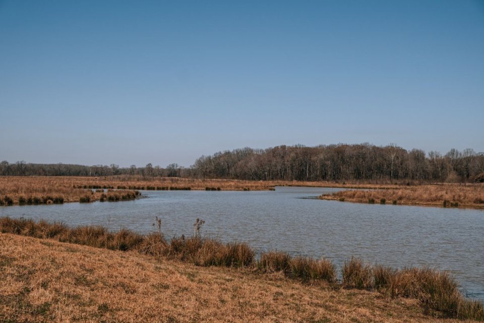 grasslands with a river flowing in it