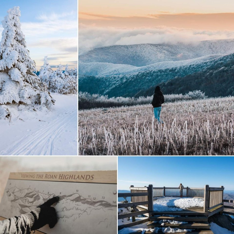 four images of a tree cover in snow a woman looking at a landscape a finger pointing to a mountain and a obsevation deck