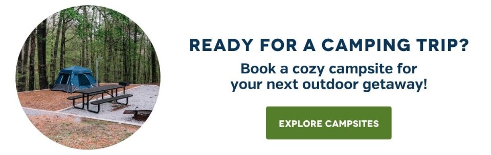 bookcamping