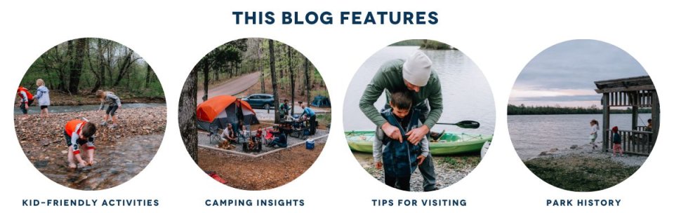 blogfeaturesmousetail