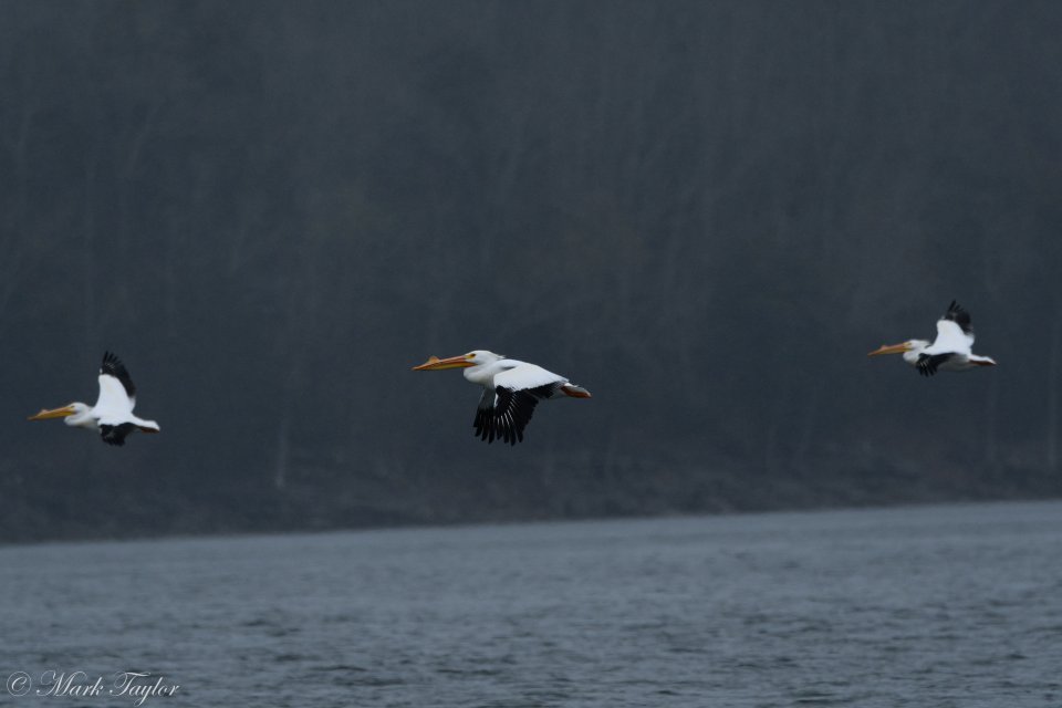 _dsc8261-3.jpg