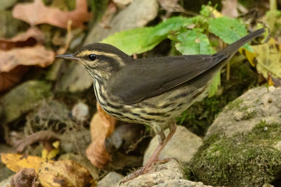 _dsc0793.jpg