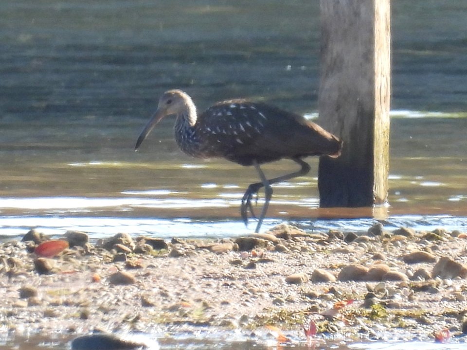 dscn0035.jpg