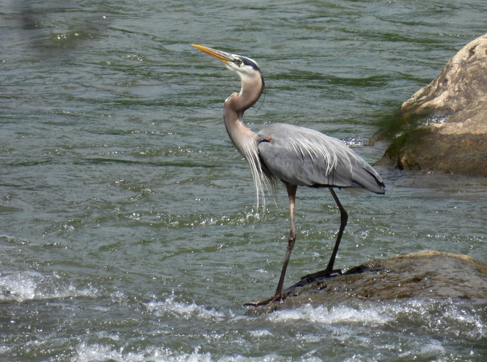 dscn2861.jpg